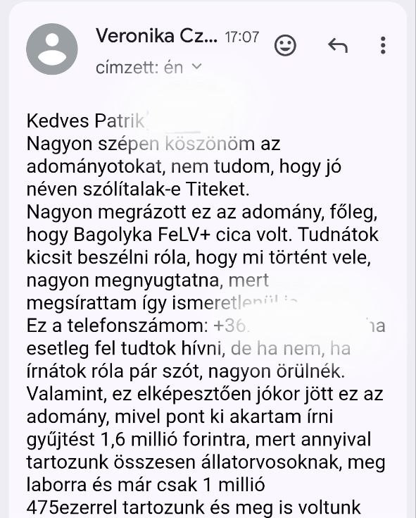 Bagolykakezeles08.jpg