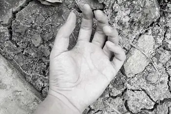 Fájl:Vissza251.jpg