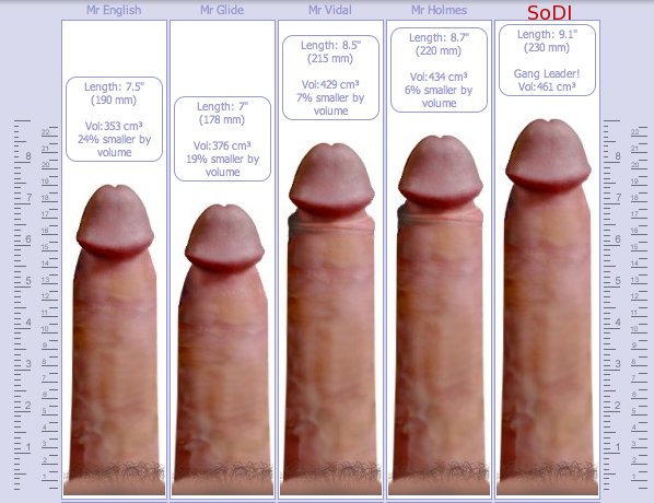 Sodipenis2.jpg