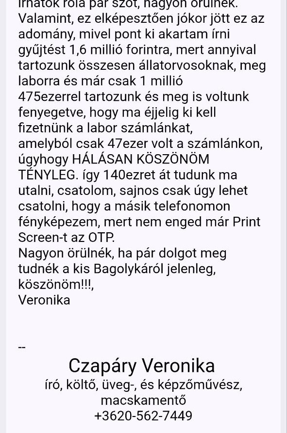 Bagolykakezeles09.jpg