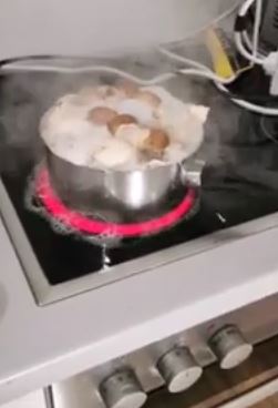 Gomba.jpeg