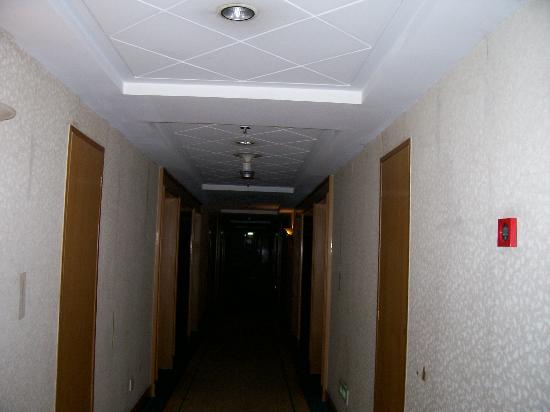 Fájl:Vissza052.jpg