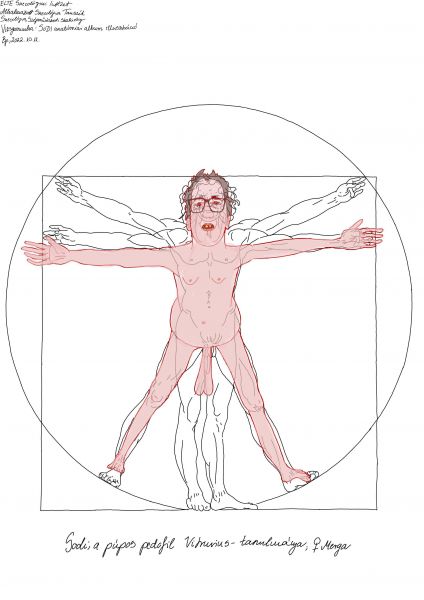 Fájl:Anatomia.jpeg