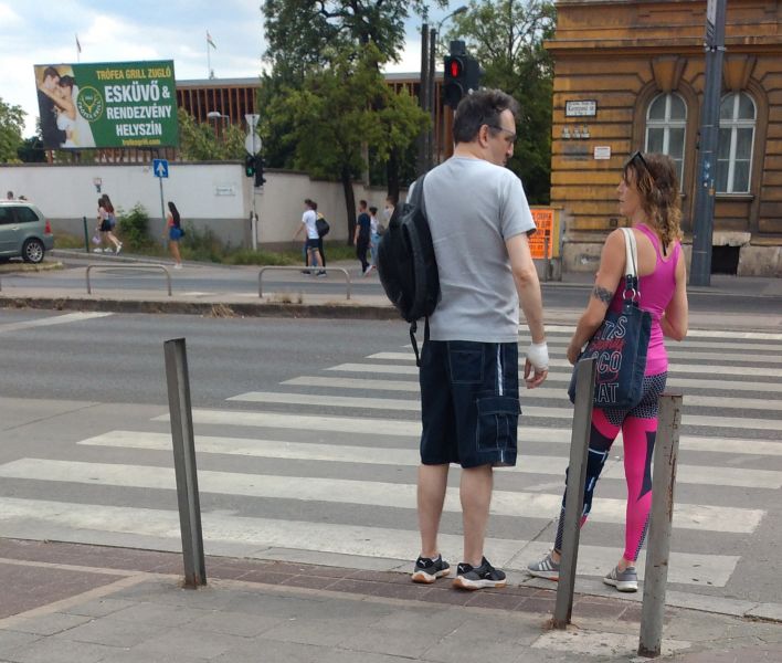 Fájl:Puposestranyo.jpg