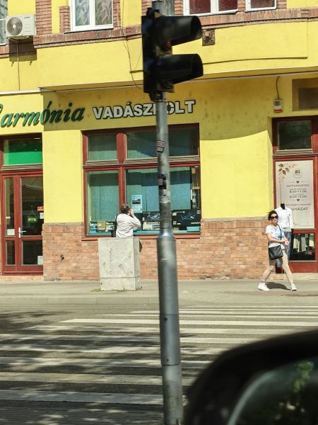 Fájl:Gyagyastargyalas04.jpg