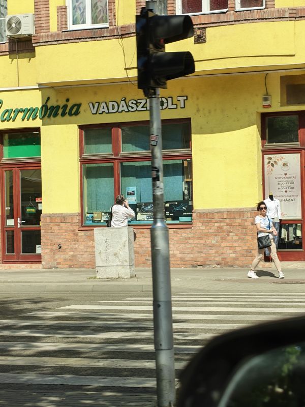 Gyagyastargyalas04.jpg