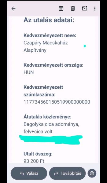 Fájl:Bagolykakezeles15.jpg