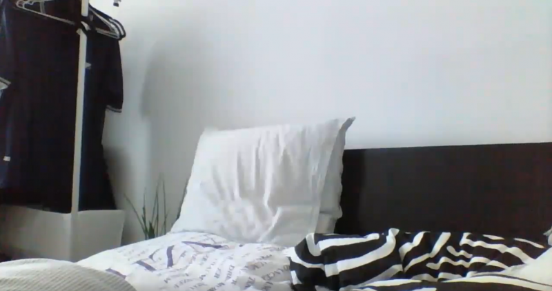 Fájl:Halo agy.png
