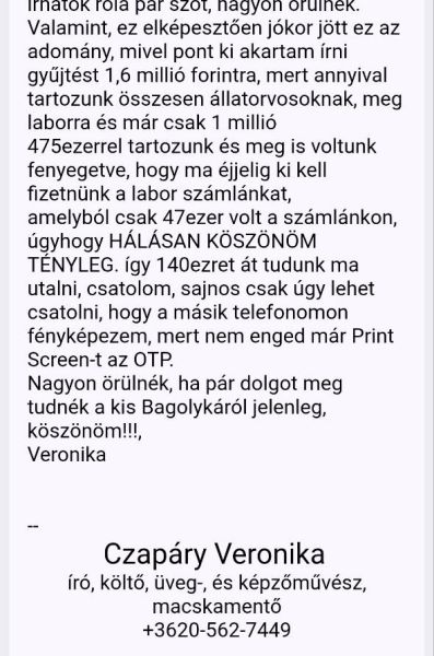 Fájl:Bagolykakezeles09.jpg
