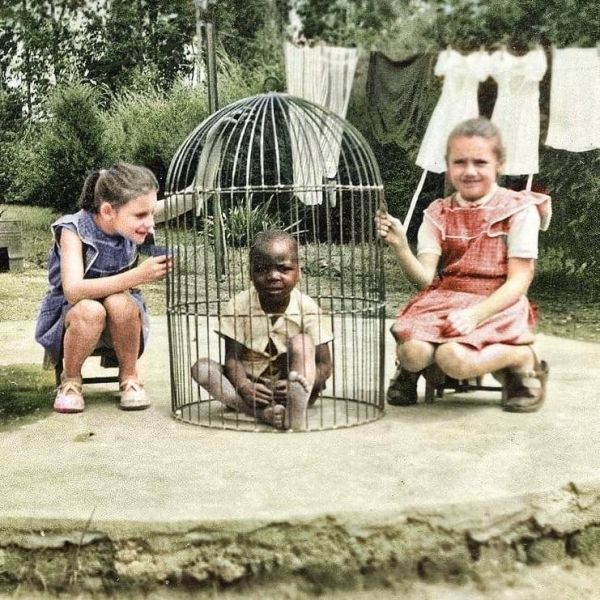 Fájl:Humanzoo2.jpg