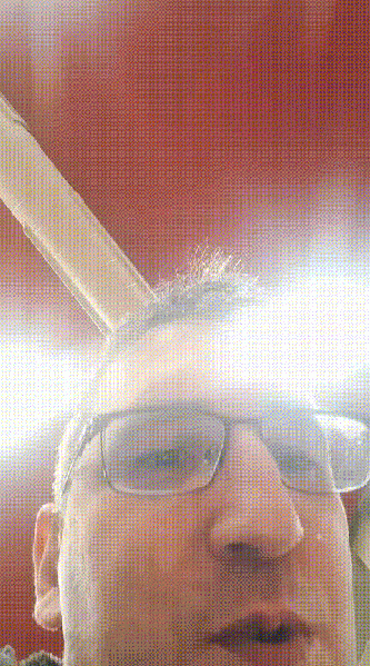 Fájl:Froccs.gif