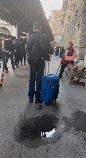 Fájl:Szepvokspott.gif