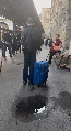 Szepvokspott.gif