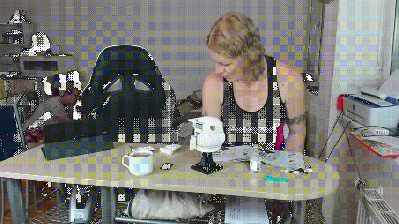 Fájl:Sodi es Lyutka3.gif