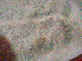Vissza013.gif