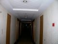 Vissza052.jpg