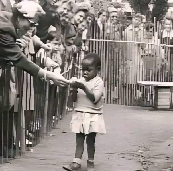 Fájl:Humanzoo.jpg