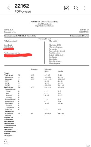 Fájl:Bagolykakezeles04.jpg