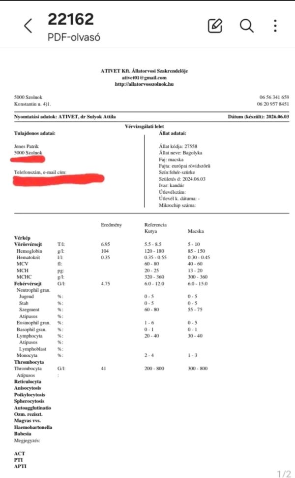 Bagolykakezeles04.jpg