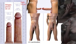 Sodipenis.jpg