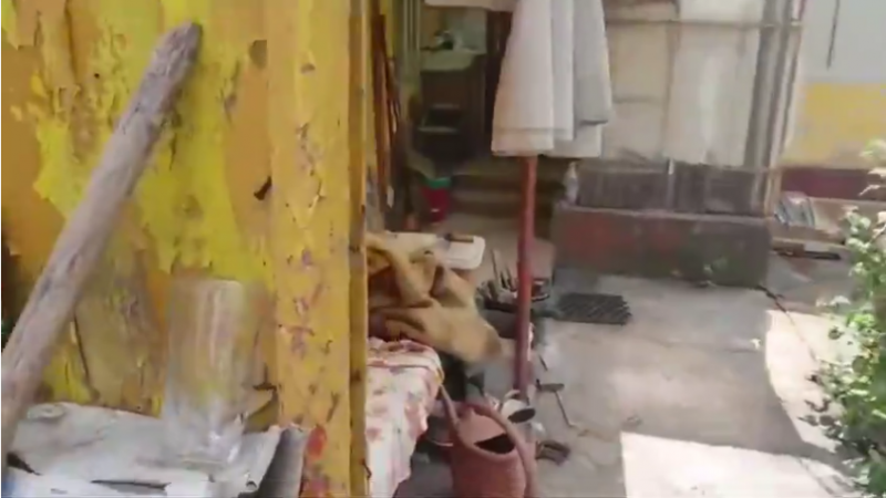 Fájl:Veranda.png